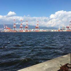 太刀魚×5、青物不発